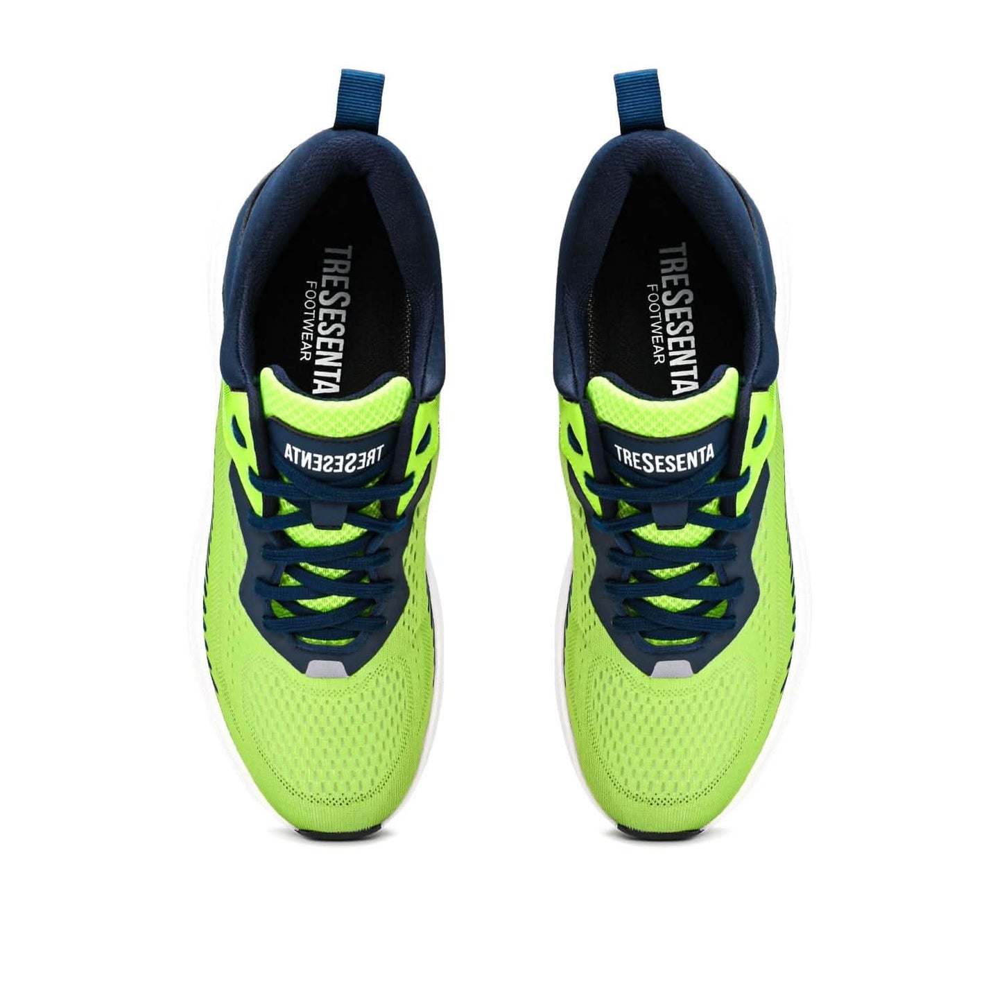 tenis360 Marshall